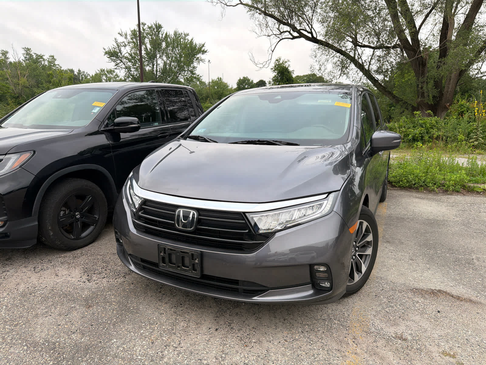 Used 2024 Honda Odyssey EX-L image 9