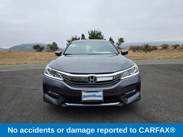 Used 2016 Honda Accord Sport image 3