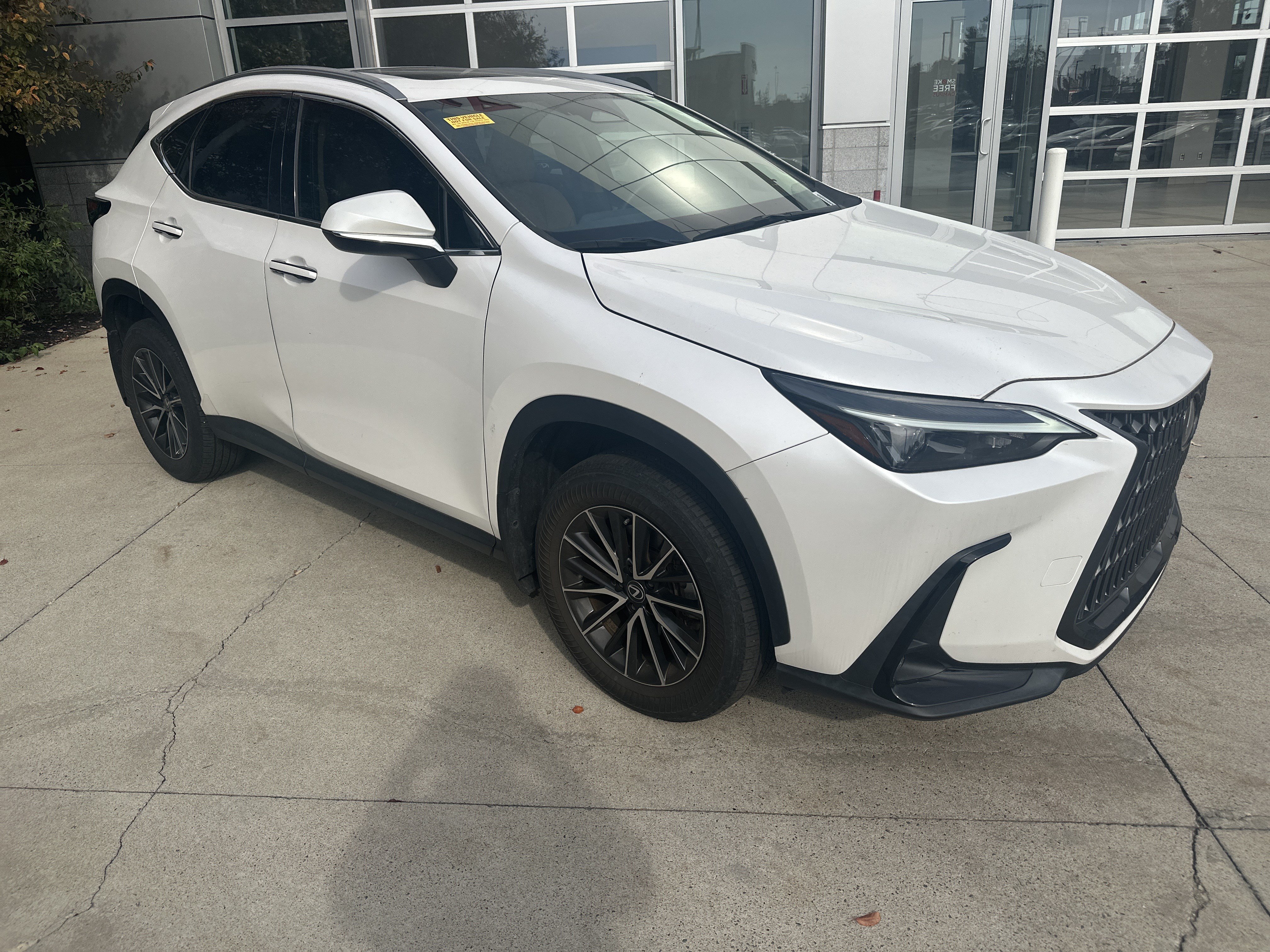 Used 2024 Lexus NX 350 AWD w/ Cold Area Package image 2