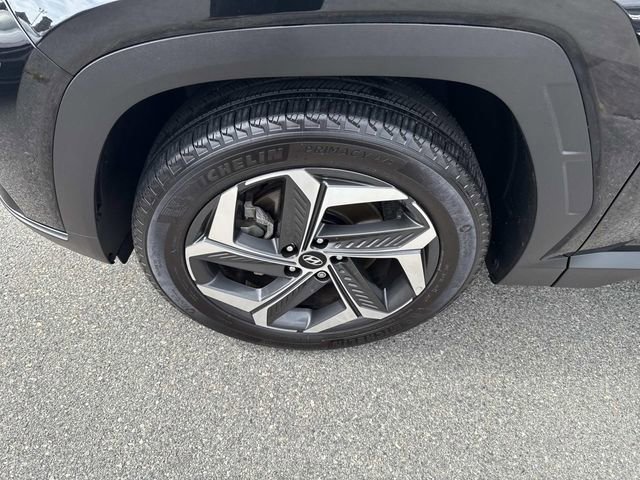 Certified 2023 Hyundai Tucson Limited w/ Cargo Package image 16