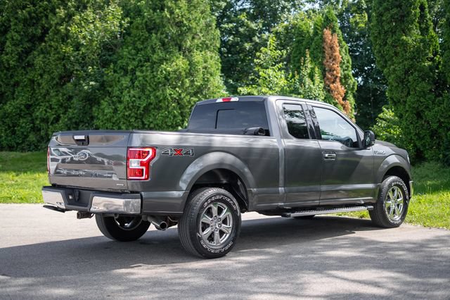Used 2019 Ford F150 XLT w/ Equipment Group 302A Luxury AWD/4WD image 5