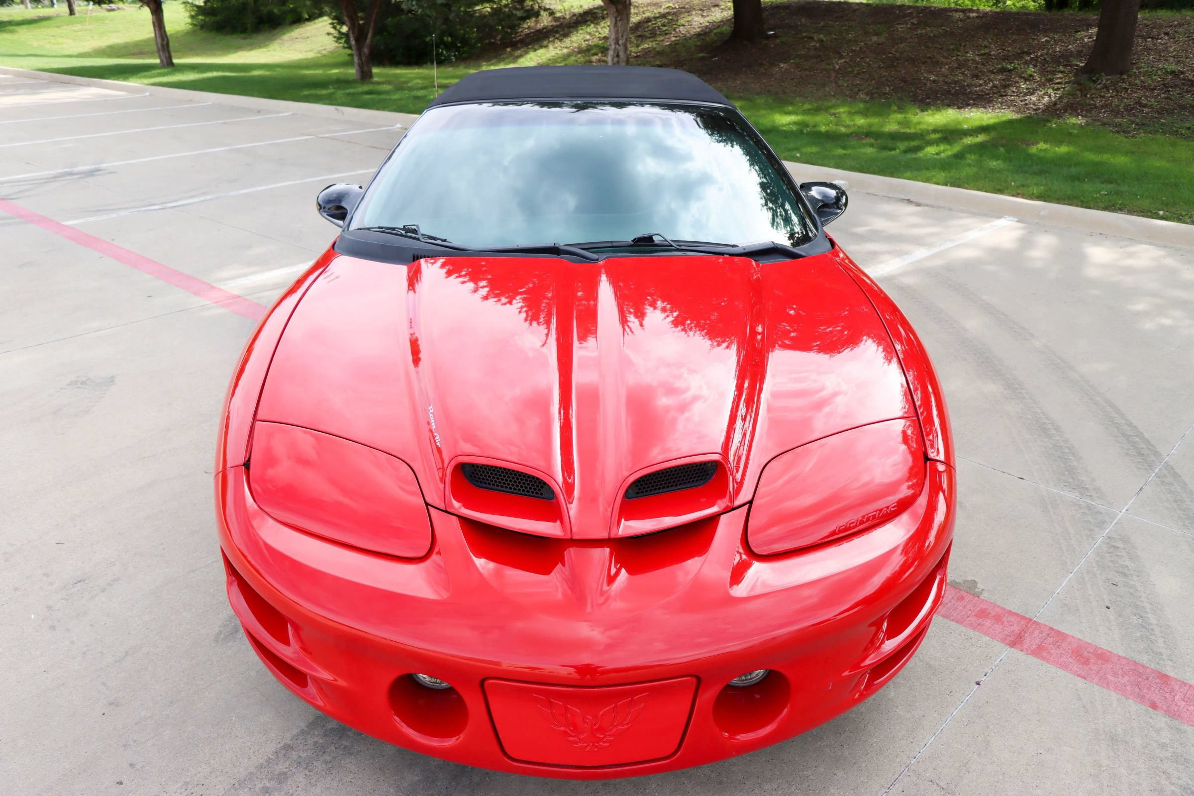 Used 1999 Pontiac Firebird Trans Am RWD image 39