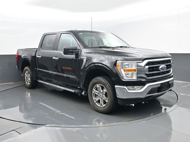 Used 2023 Ford F150 XL image 3