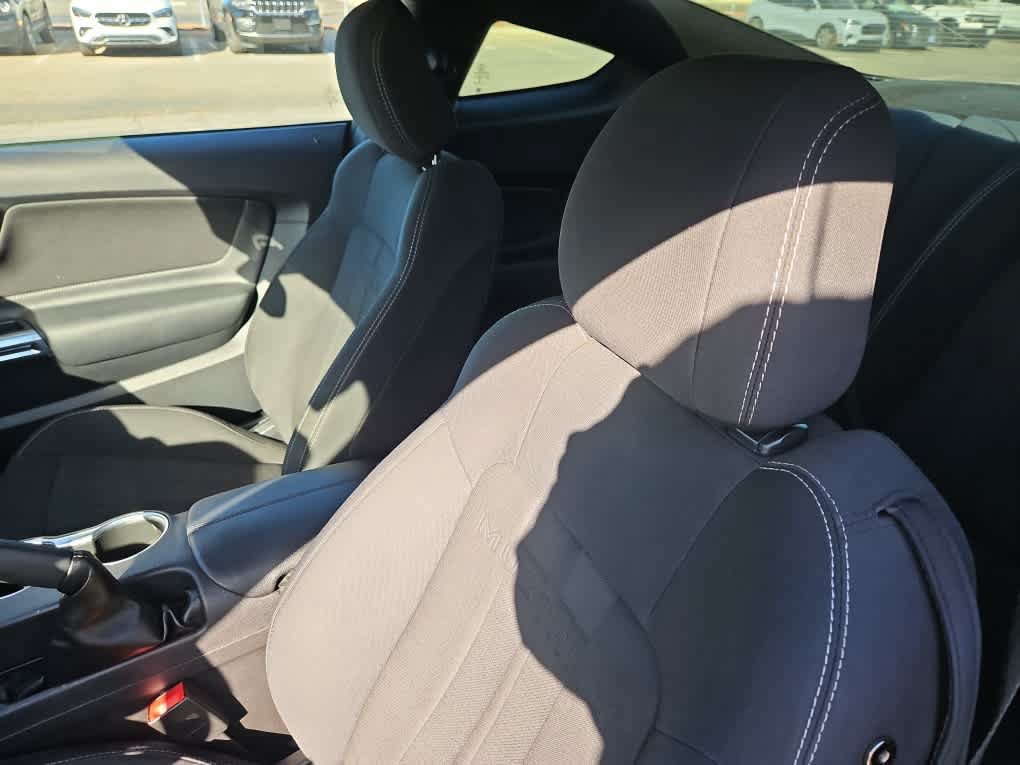 Used 2019 Ford Mustang GT w/ Equipment Group 301A RWD image 11
