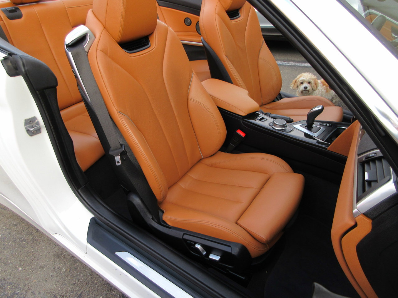 Used 2019 BMW 440i Convertible w/ Convenience Package image 24