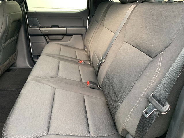 Used 2023 Ford F150 XLT w/ Equipment Group 302A High AWD/4WD image 19