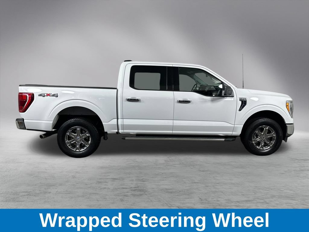 Used 2023 Ford F150 XLT w/ Equipment Group 302A High AWD/4WD image 13