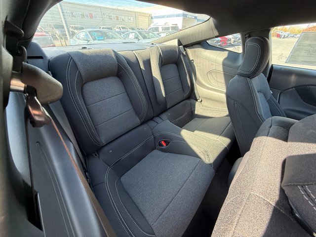 New 2026 Ford Mustang EcoBoost image 19