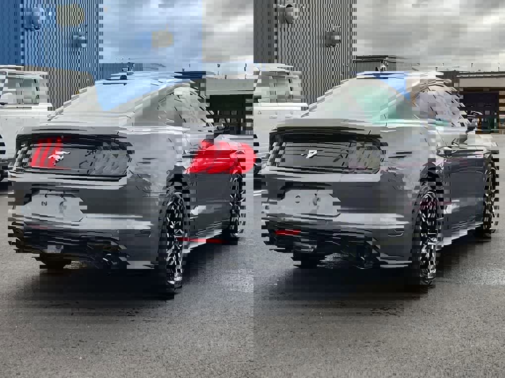 Used 2021 Ford Mustang EcoBoost w/ Equipment Group 101A image 3