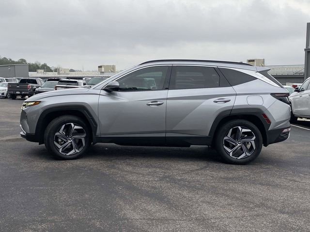 Used 2024 Hyundai Tucson Limited image 7