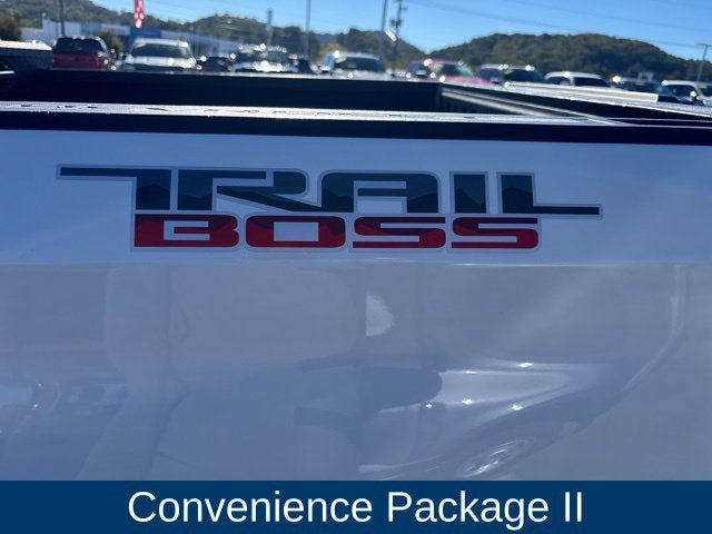 Used 2020 Chevrolet Silverado 1500 LT Trail Boss AWD/4WD image 10