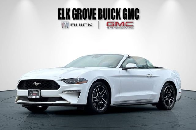 Used 2023 Ford Mustang Premium RWD image 8
