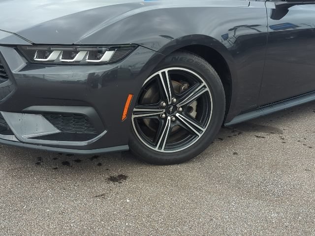 Used 2024 Ford Mustang Premium RWD image 4