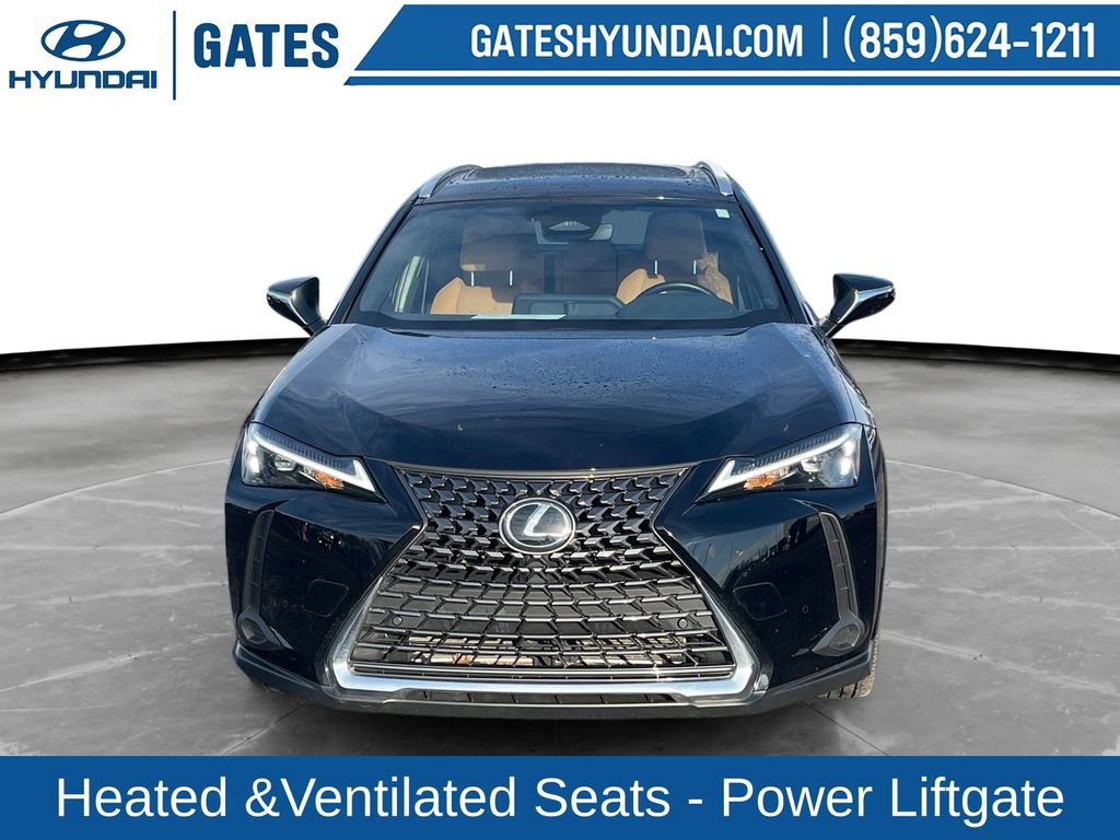 Used 2025 Lexus UX 300h AWD w/ Cold Area Package image 4