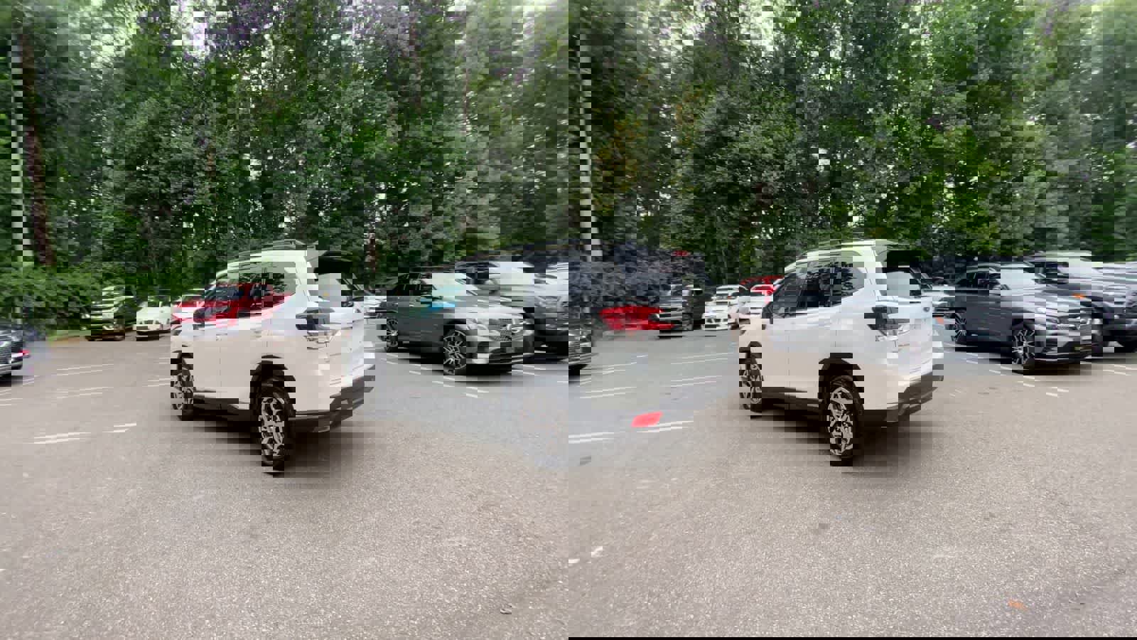 Used 2024 Subaru Forester Premium image 6