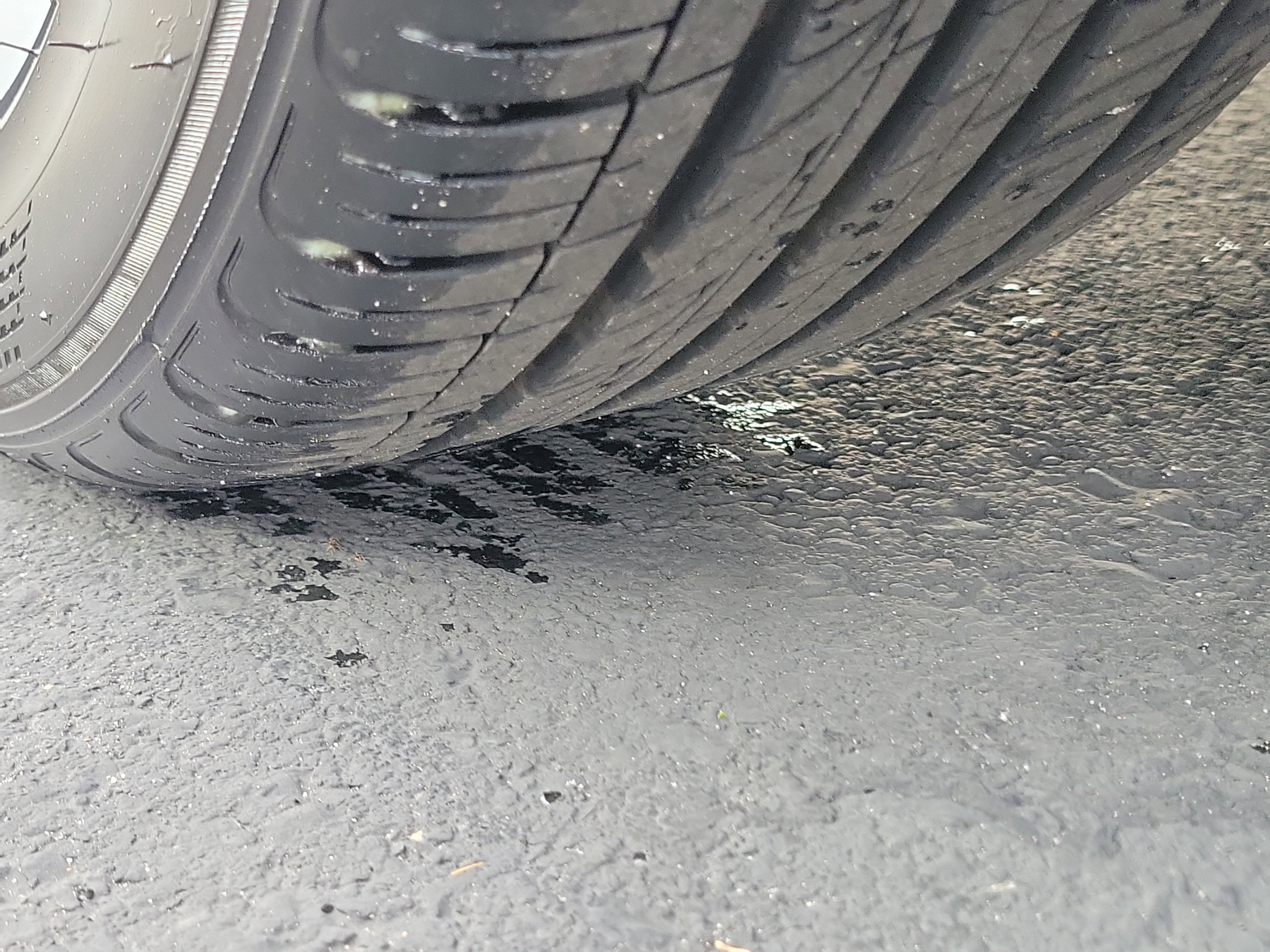 Certified 2025 Hyundai Elantra Sport image 33