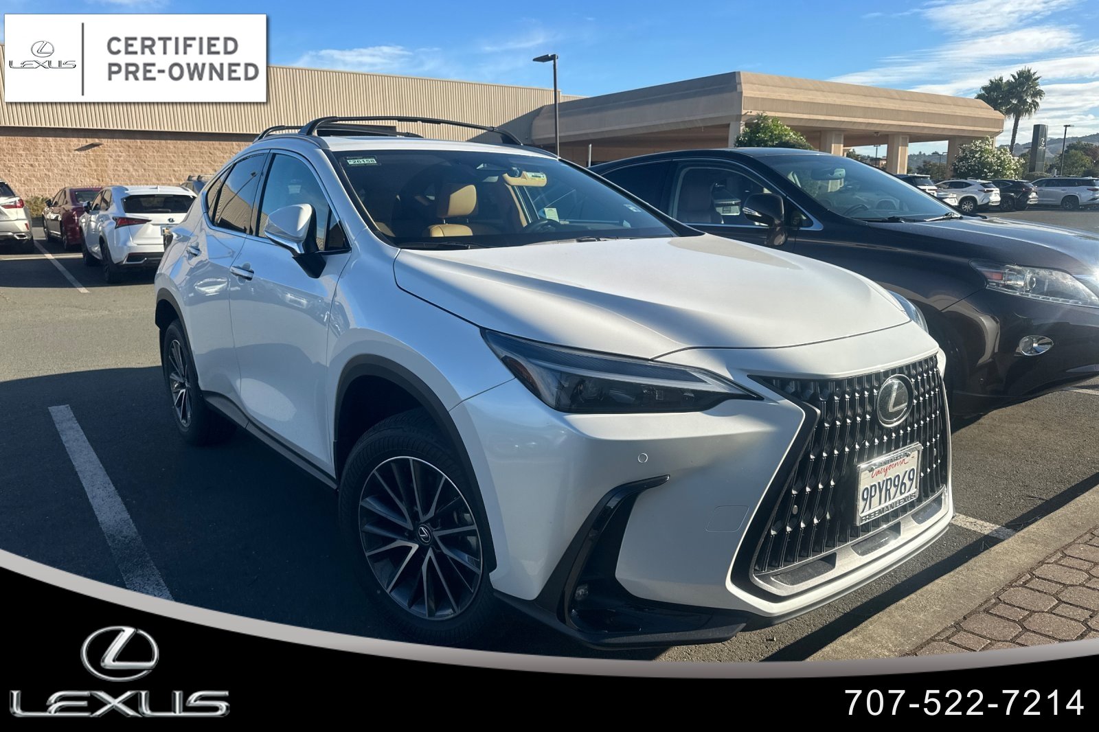 Used 2025 Lexus NX 350 AWD