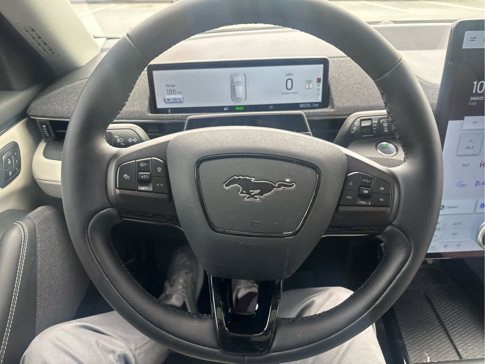 Used 2021 Ford Mustang Mach-E Premium image 10