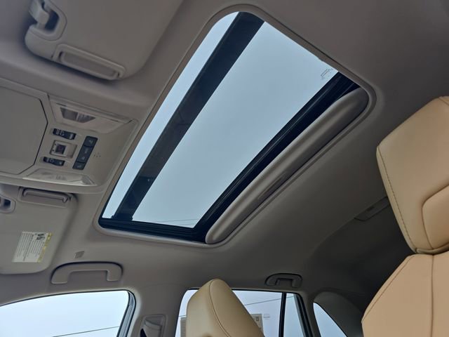 New 2025 Toyota RAV4 XLE Premium image 30