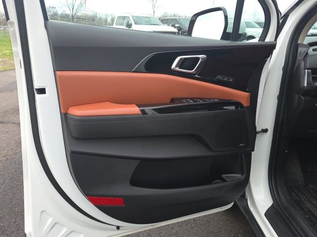 Used 2024 Kia Carnival SX Prestige image 30