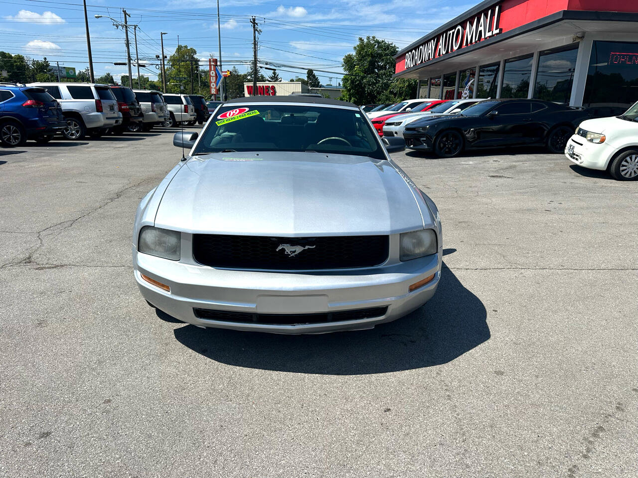 Used 2009 Ford Mustang Convertible image 8