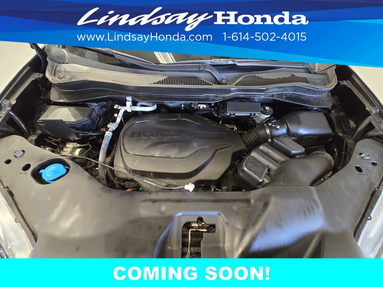 Used 2023 Honda Passport TrailSport image 24