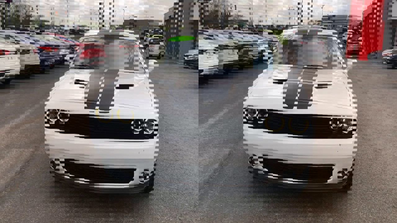 Used 2021 Dodge Challenger SXT w/ Blacktop Package image 2