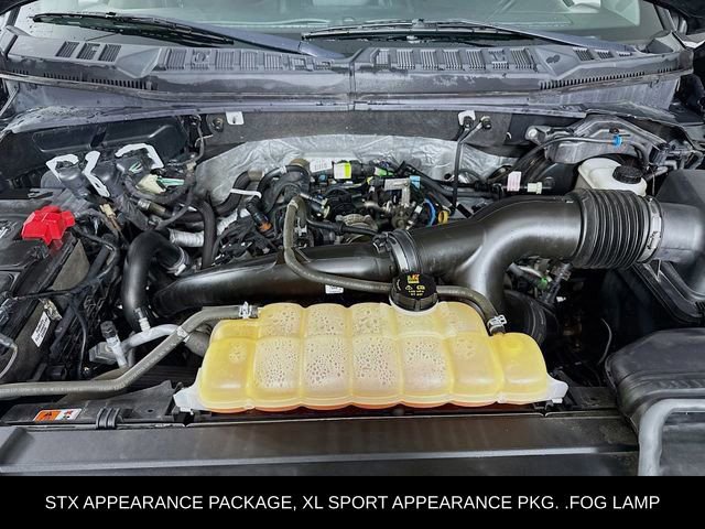 Used 2019 Ford F150 XL w/ Equipment Group 101A Mid image 27