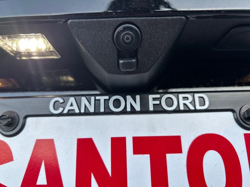 New 2025 Ford Expedition Active image 10