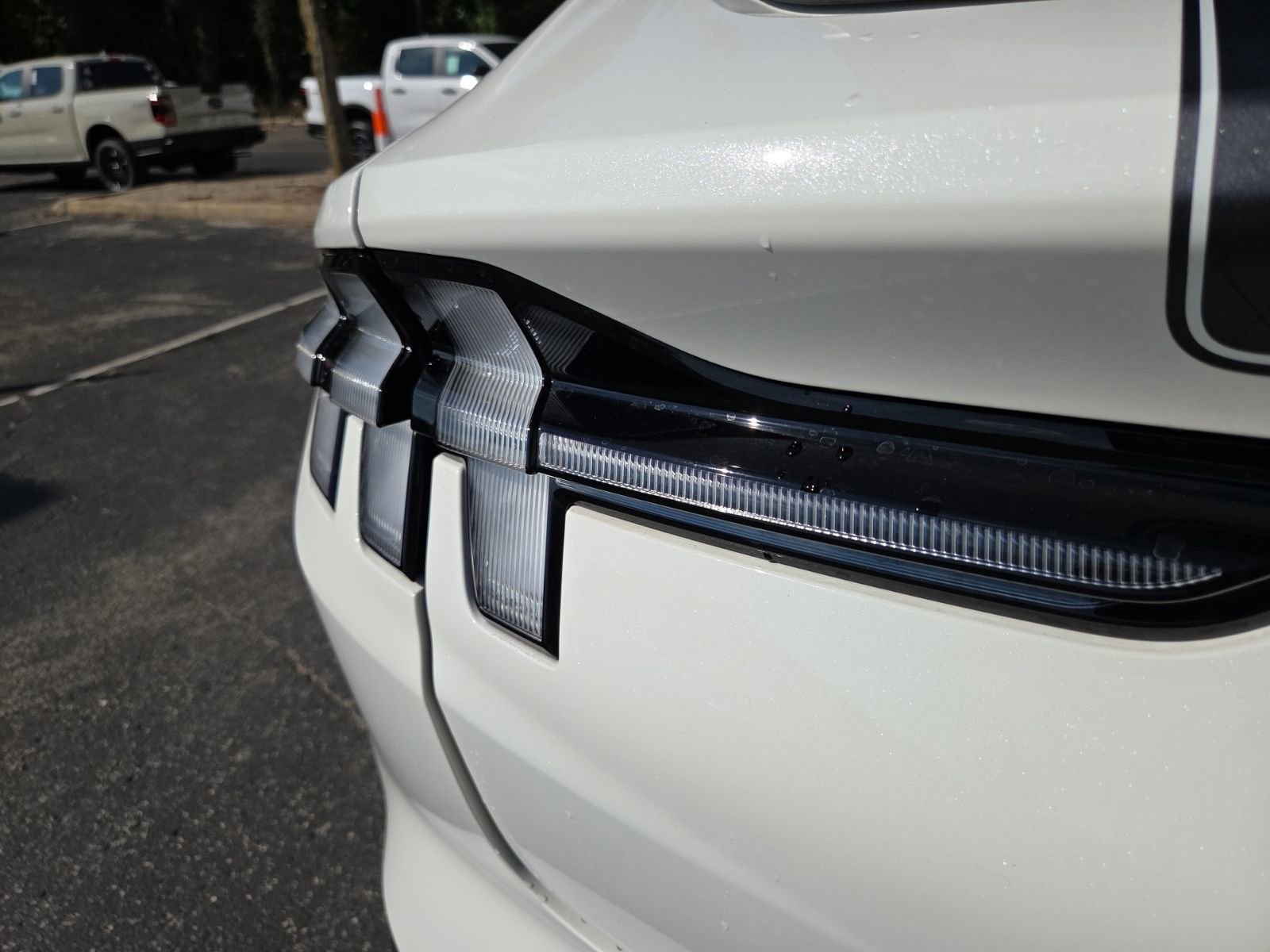 New 2025 Ford Mustang Mach-E GT w/ Interior Protection Package image 13