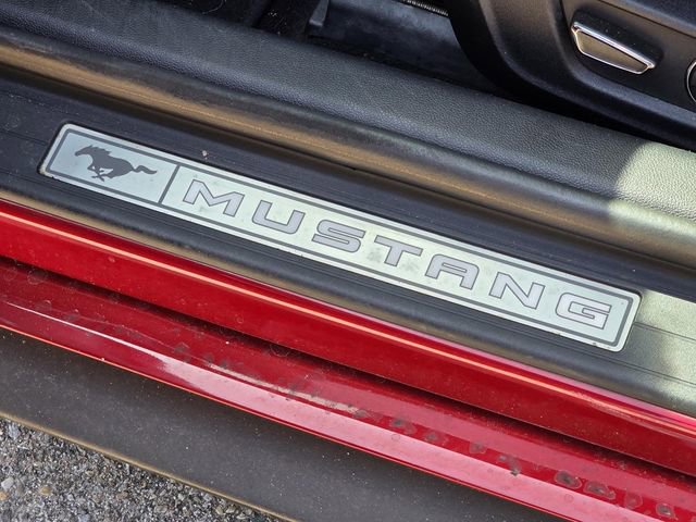 Used 2019 Ford Mustang Premium w/ Equipment Group 201A image 15