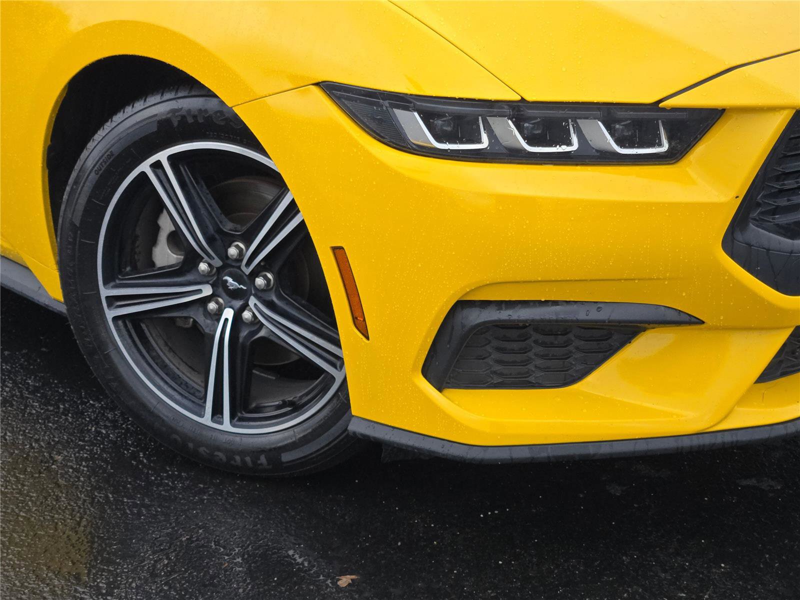 Used 2024 Ford Mustang Premium image 3