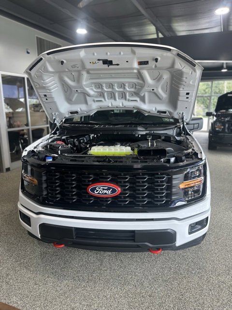 New 2025 Ford F150 STX w/ Equipment Group 200A image 2