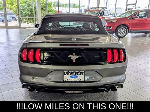 Used 2021 Ford Mustang Premium RWD image 9