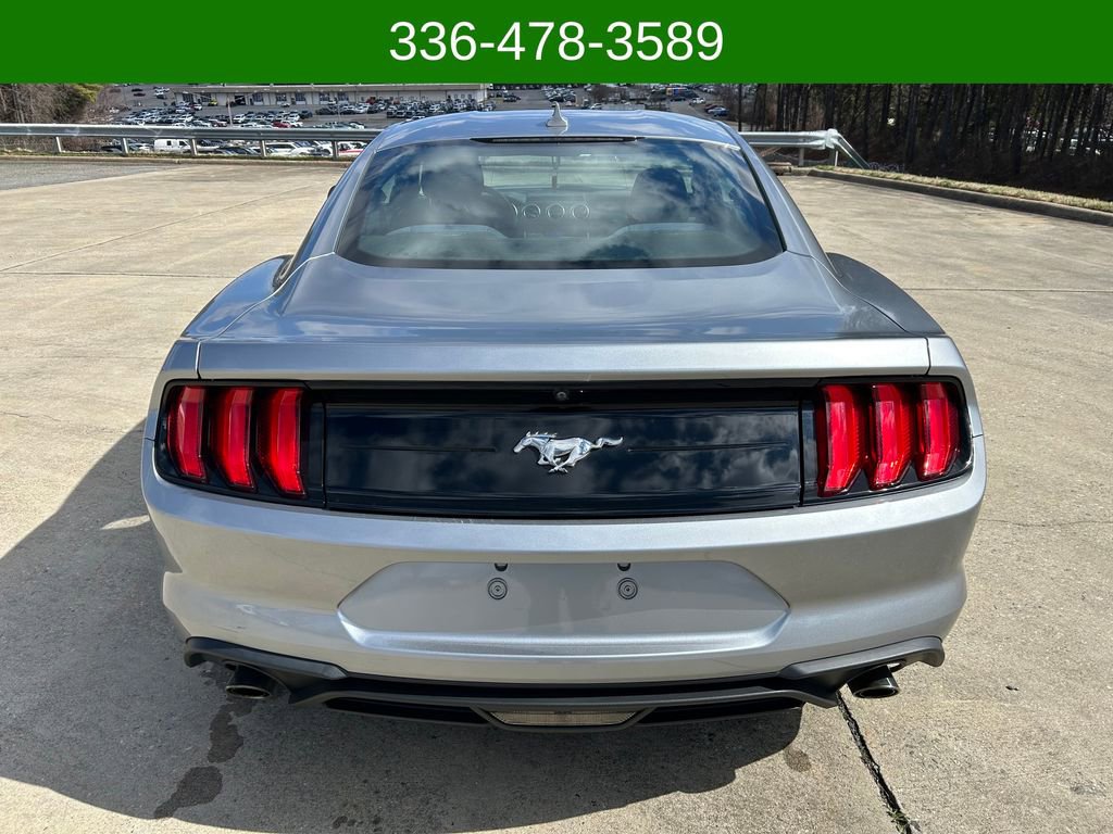 Used 2021 Ford Mustang EcoBoost image 4