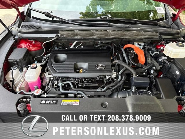 Used 2023 Lexus RX 350h w/ Cold Area Package AWD/4WD image 10