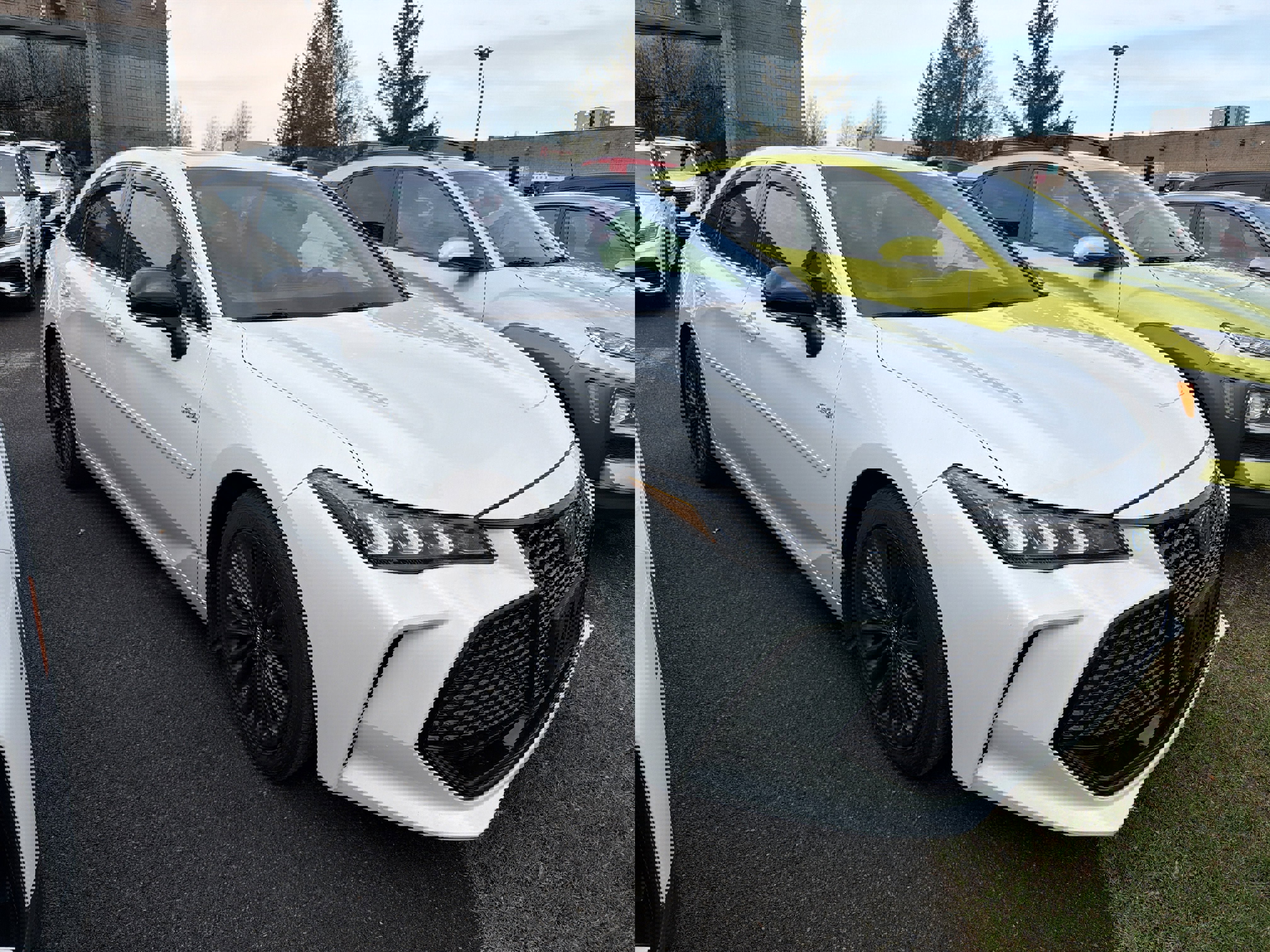 Used 2019 Toyota Avalon XSE w/ All Weather Liner Package FWD image 2