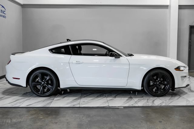 Used 2023 Ford Mustang Premium w/ Mustang Nite Pony Package RWD image 7