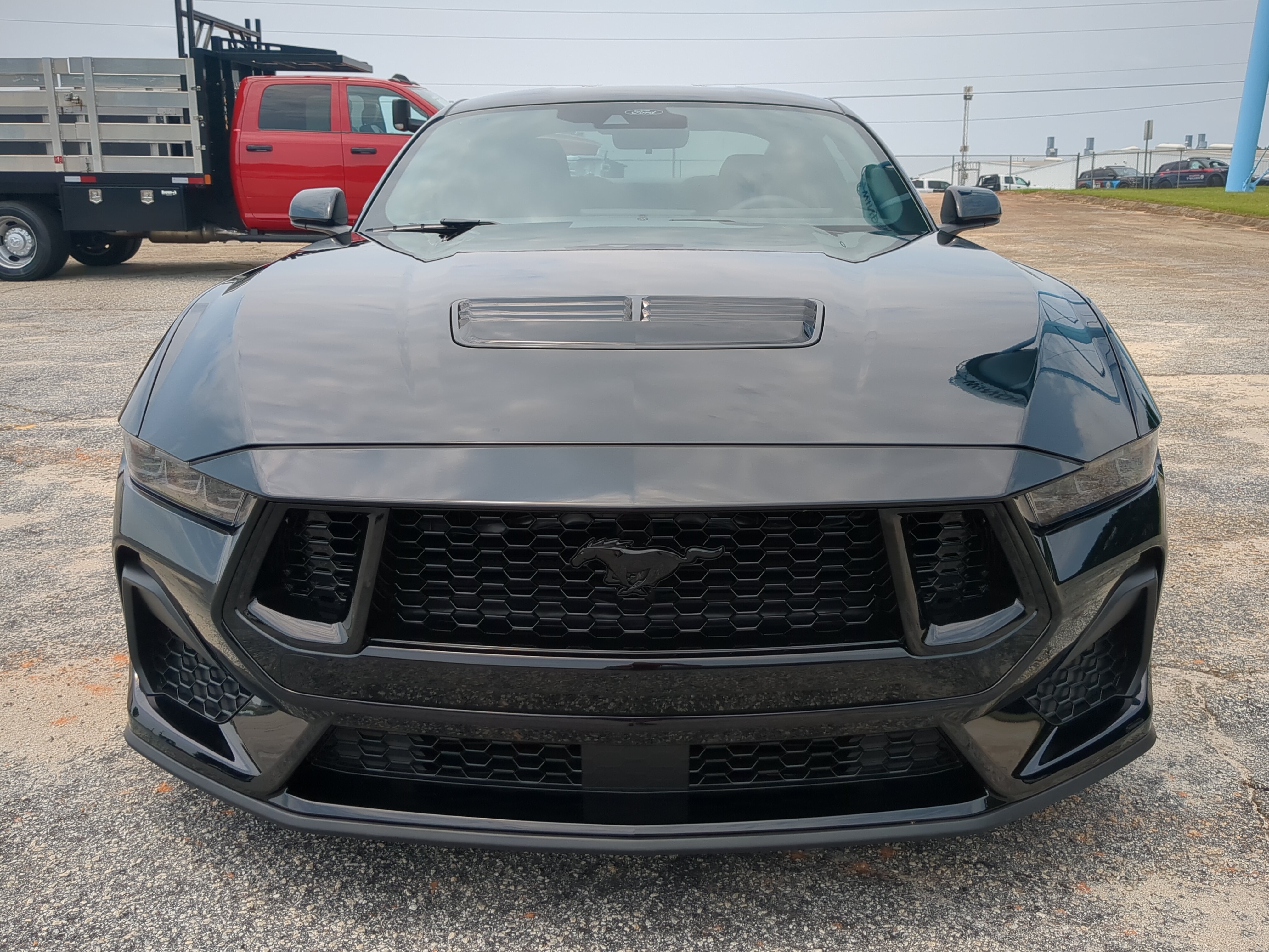 New 2026 Ford Mustang GT w/ Mustang Nite Pony Package RWD image 8