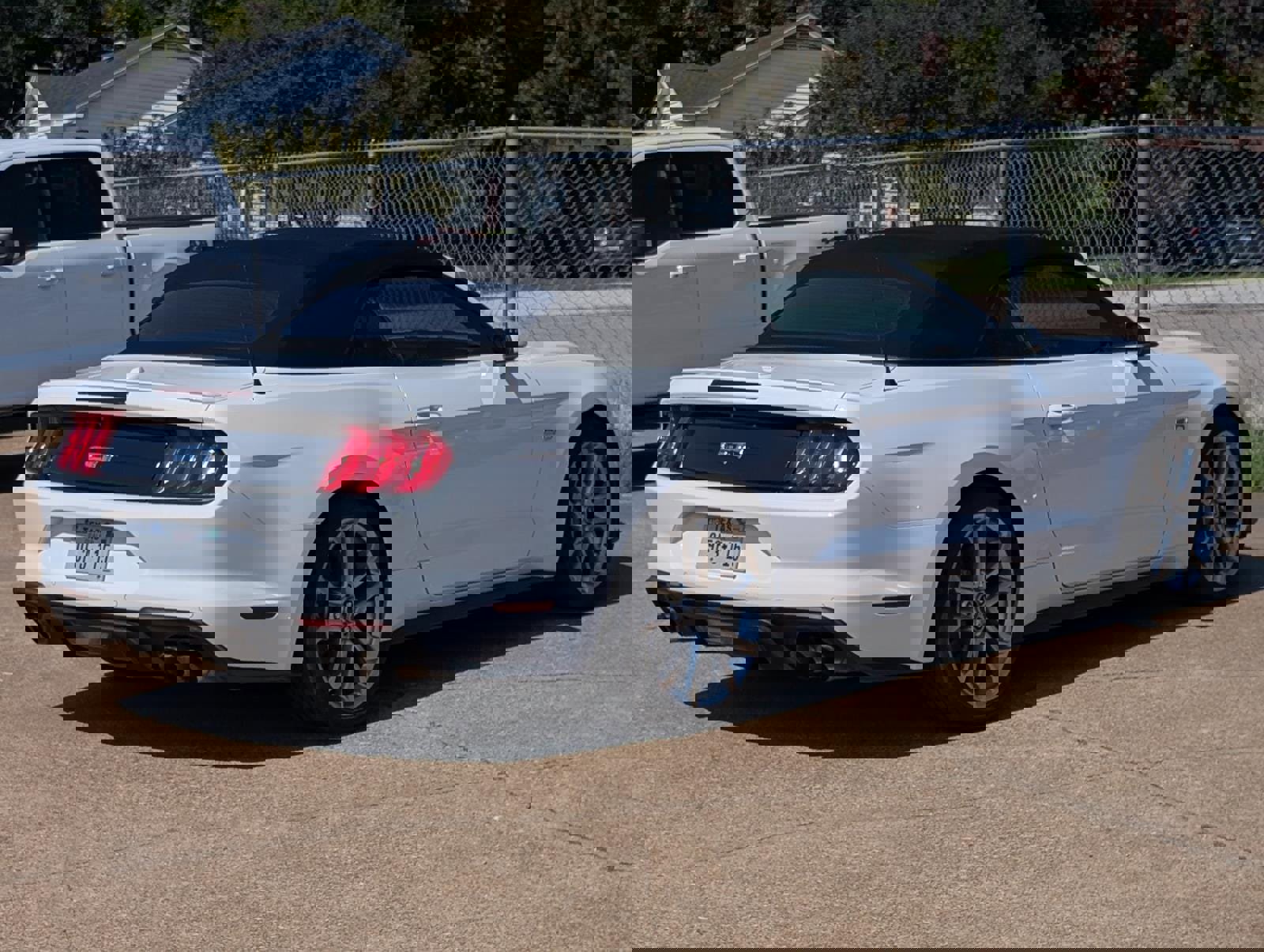 Used 2019 Ford Mustang GT Premium w/ Equipment Group 401A image 4