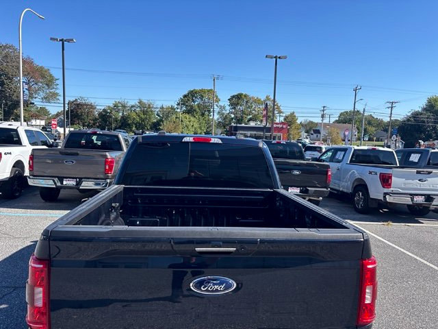 Used 2023 Ford F150 XLT w/ Equipment Group 302A High AWD/4WD image 11