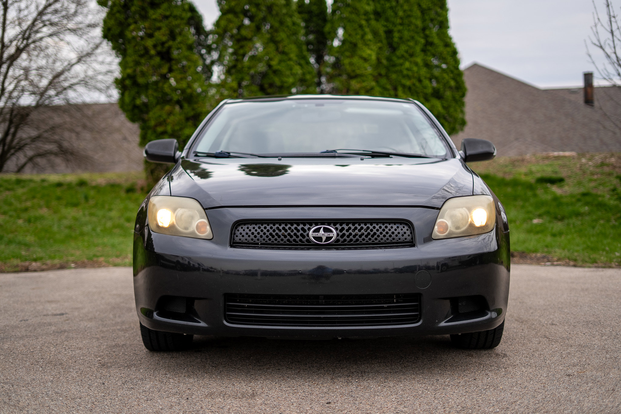 Used 2008 Scion tC image 2