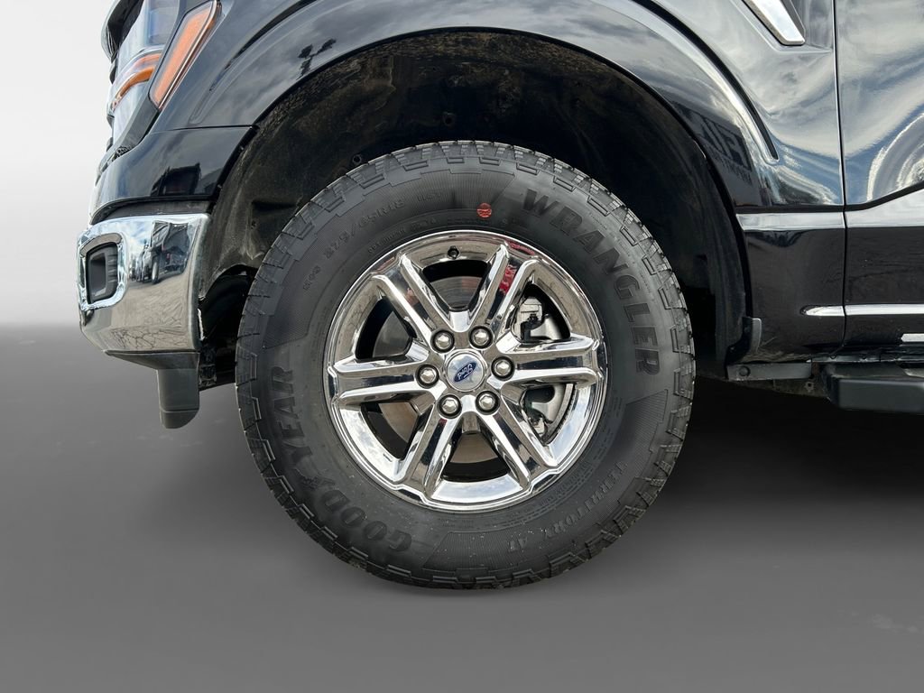 Used 2025 Ford F150 XLT w/ Equipment Group 301A Standard image 15