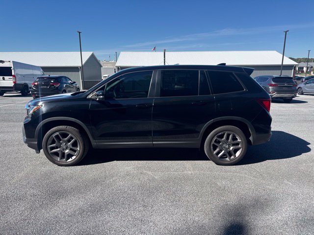 Used 2024 Honda Passport EX-L image 6