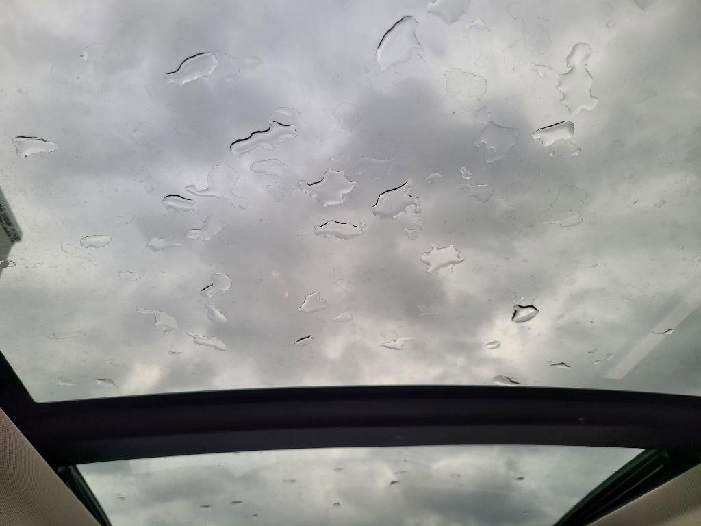 Used 2019 Ford Escape SEL image 46