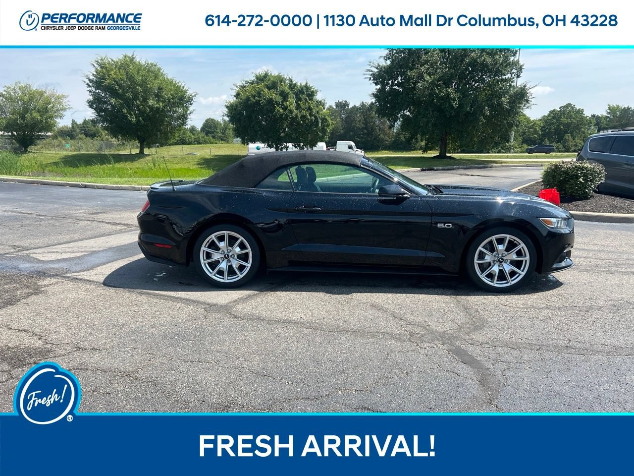 Used 2015 Ford Mustang GT Premium w/ Equipment Group 401A RWD image 3