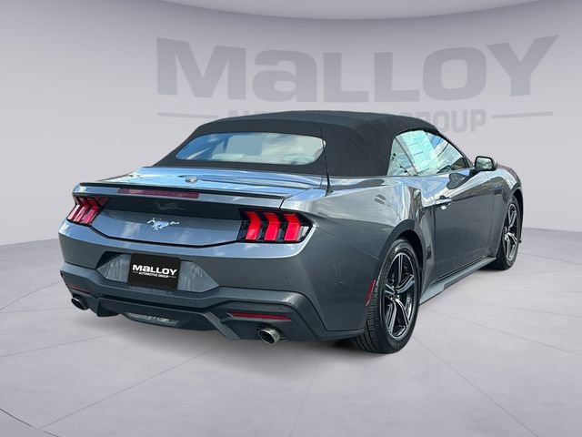Certified 2024 Ford Mustang Premium image 5
