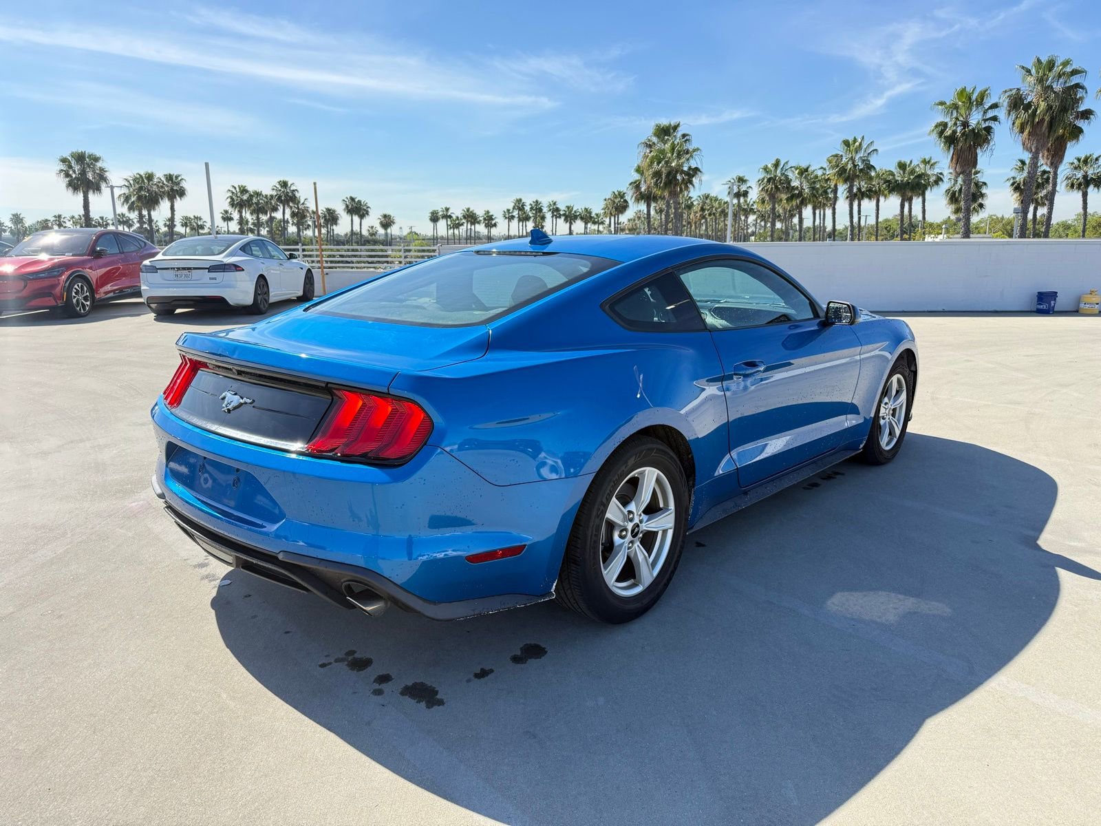 Used 2020 Ford Mustang EcoBoost image 3