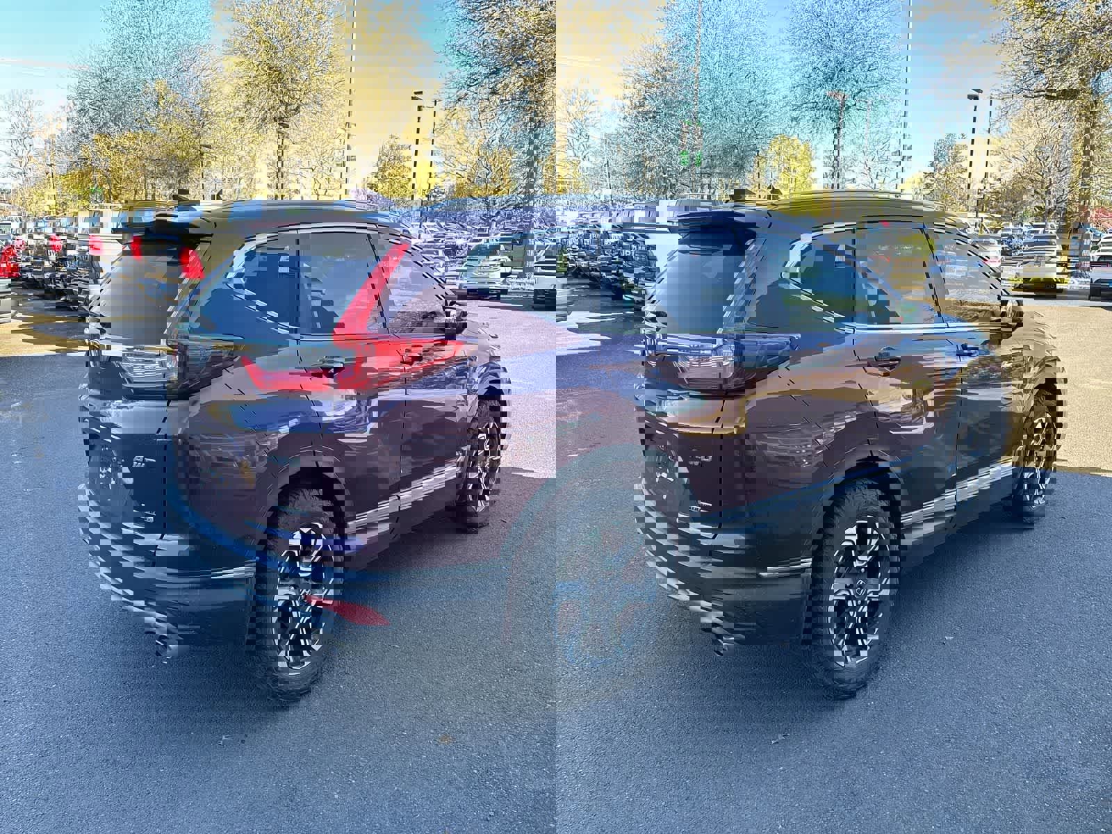 Used 2017 Honda CR-V Touring image 4