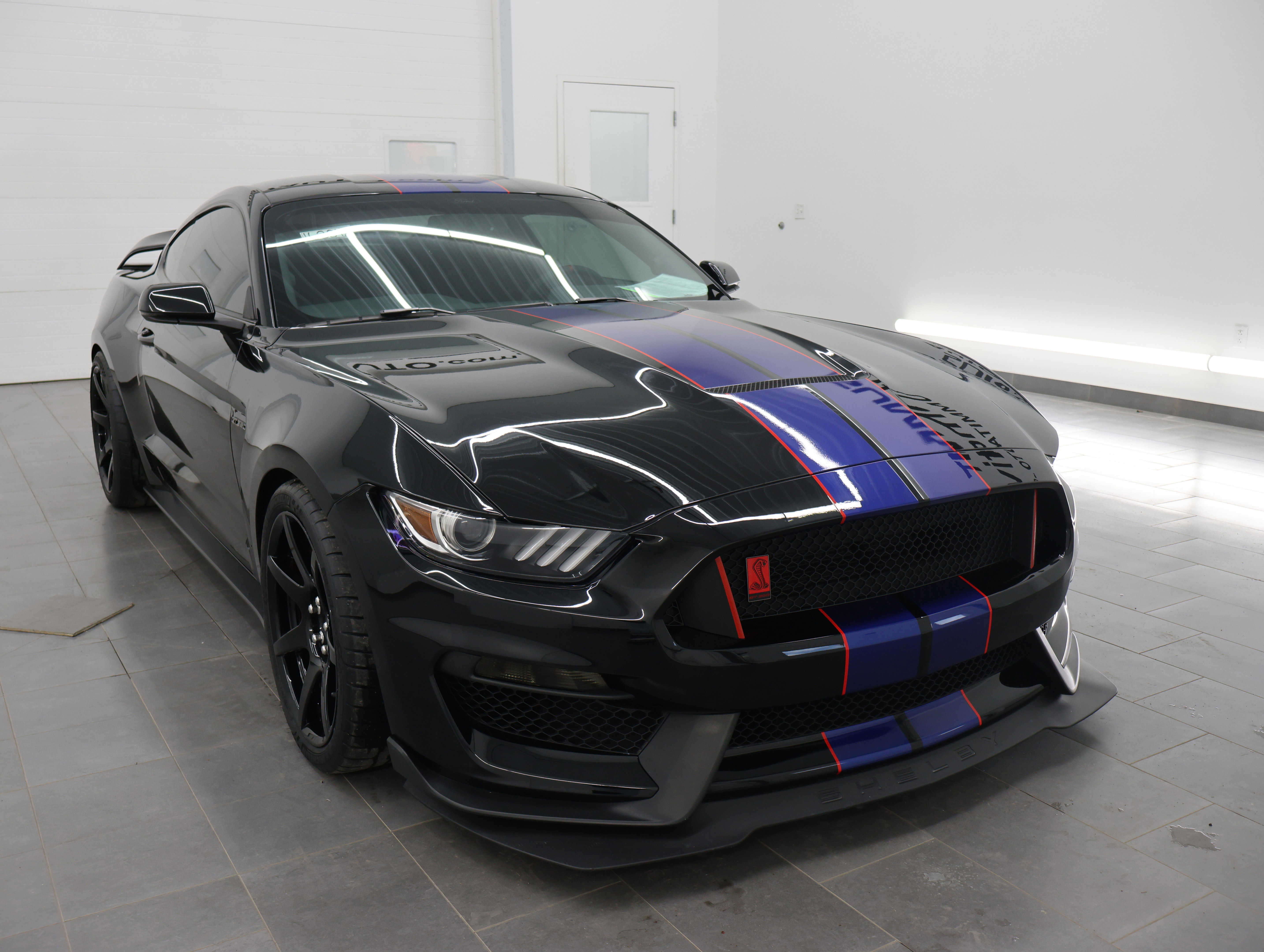 Used 2016 Ford Mustang Shelby GT350R w/ GT350R Equipment Group 920A RWD image 2